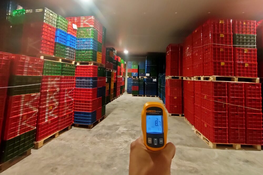 Kho mát xếp đầy sọt nhựa trên pallet, nhân viên đo nhiệt độ bằng súng đo hồng ngoại